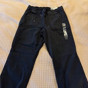 American Eagle Outfitters Navy Track Pants